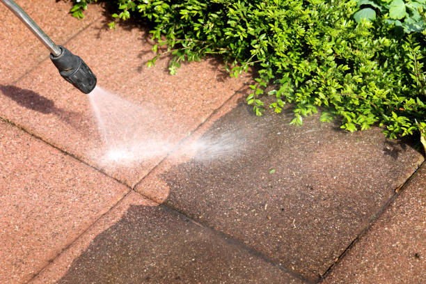 Local Pressure Washing Services in Urbana, MD